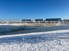 Landschaftspark-Rudow-Altglienicke - Winterbilder Januar 2021