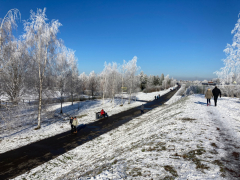 Landschaftspark-Rudow-Altglienicke - Winterbilder Januar 2021