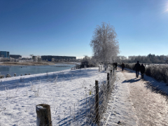 Landschaftspark-Rudow-Altglienicke - Winterbilder Januar 2021
