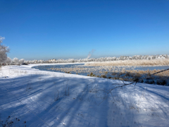 Landschaftspark-Rudow-Altglienicke - Winterbilder Januar 2021