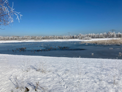 Landschaftspark-Rudow-Altglienicke - Winterbilder Januar 2021