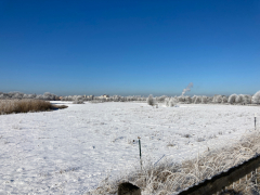 Landschaftspark-Rudow-Altglienicke - Winterbilder Januar 2021