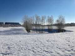 Landschaftspark-Rudow-Altglienicke - Winterbilder Januar 2021